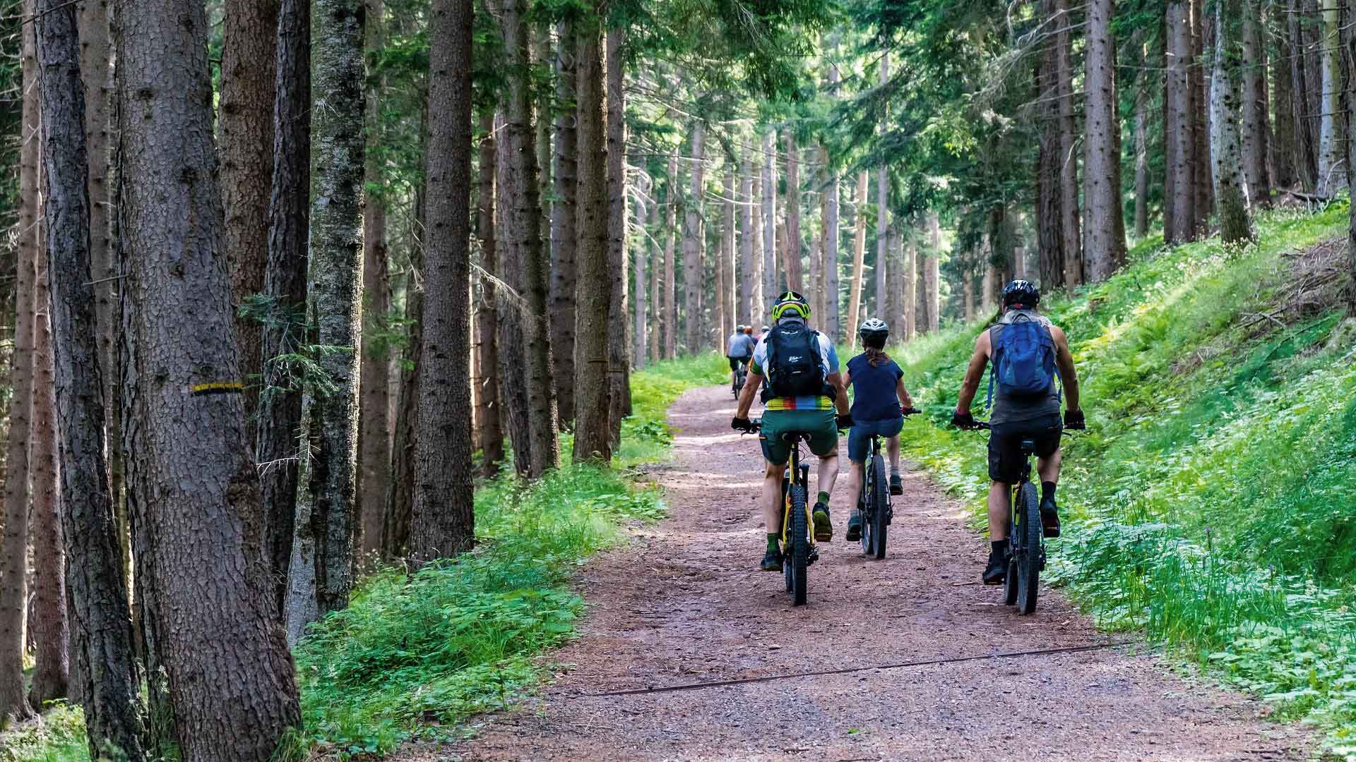 Harz Mountainbike Urlaub